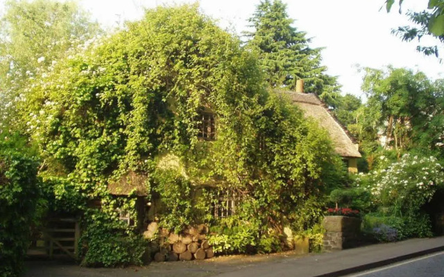 Wizards Thatch Luxury Suites
