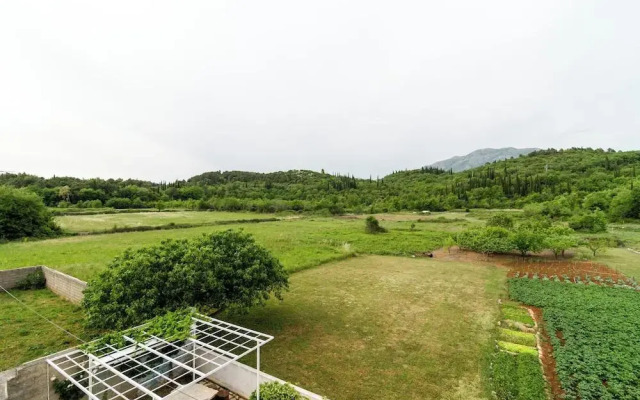 Apartments Banac