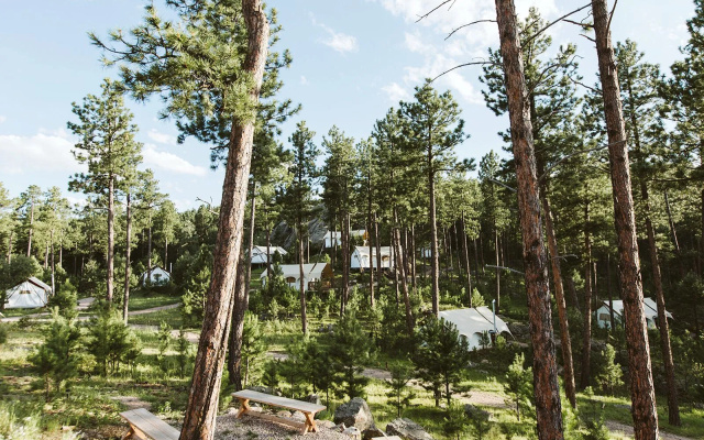 Under Canvas Mount Rushmore