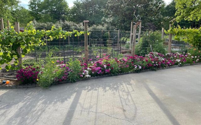 The Gillen House B&B