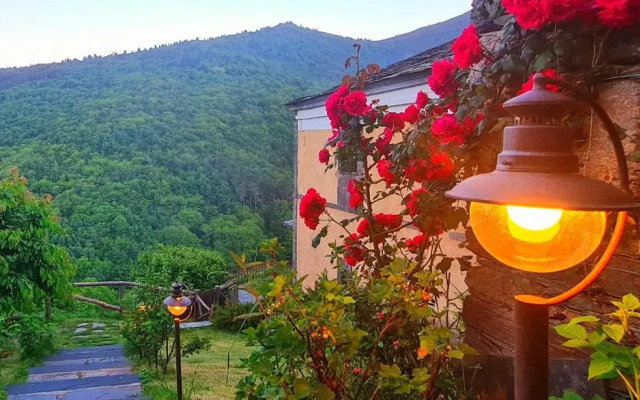 El Bosque De Las Vinas