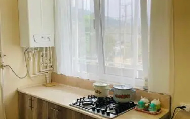 Дом в центре города