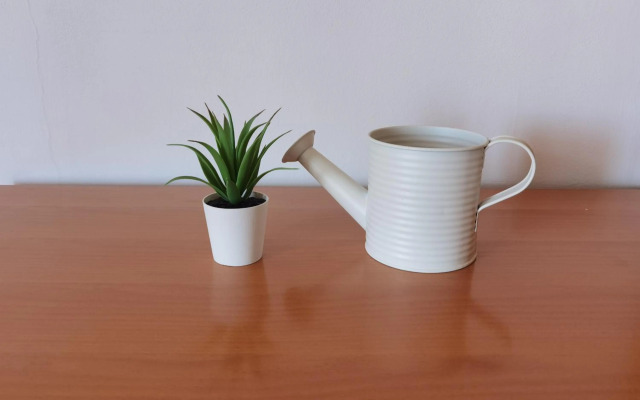 T-star, 2-bedroom apartment with magnificent beach view