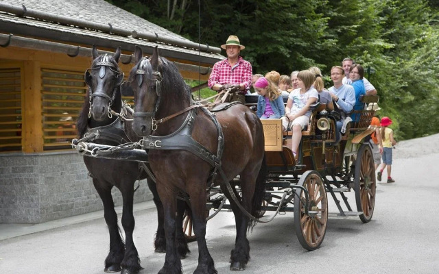 Ferienhaus / Chalet Lerch