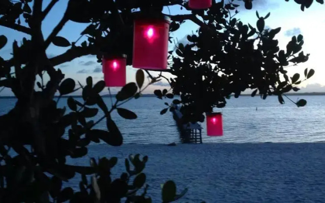 Hotel Pangalanes Jungle Nofy