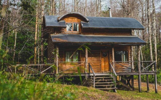 Huilo Huilo Cabanas del Bosque