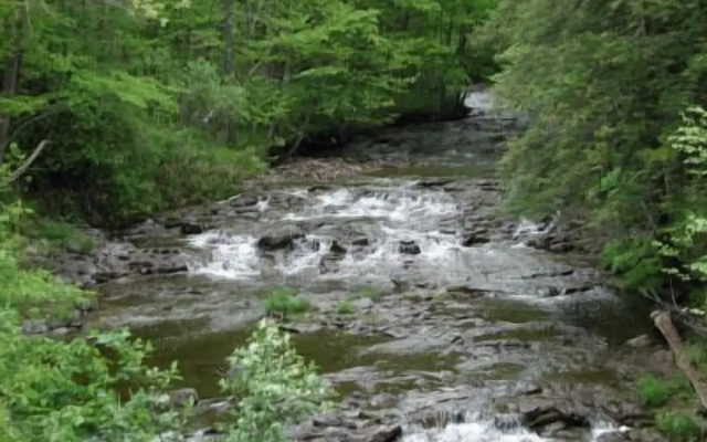 CliffSide by The Falls