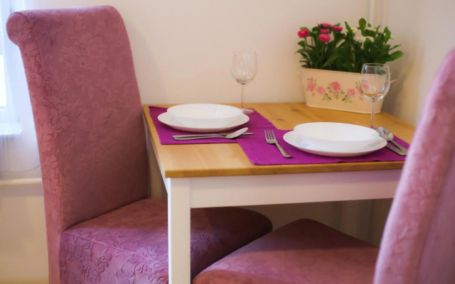 Studio Apartman Ld U Strogom Centru