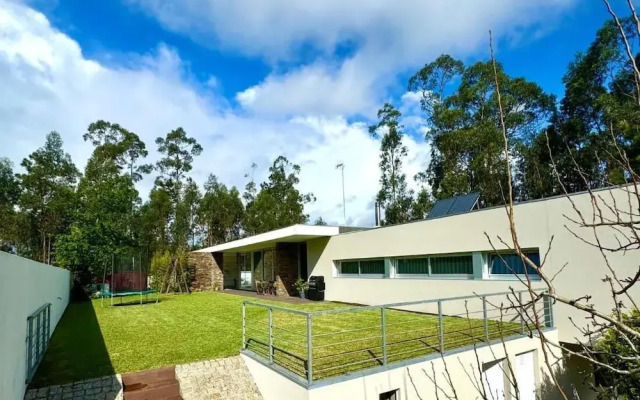 Villa Branco in the North of Portugal