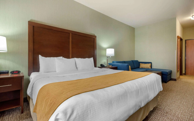 Comfort Inn & Suites Mitchell I-90