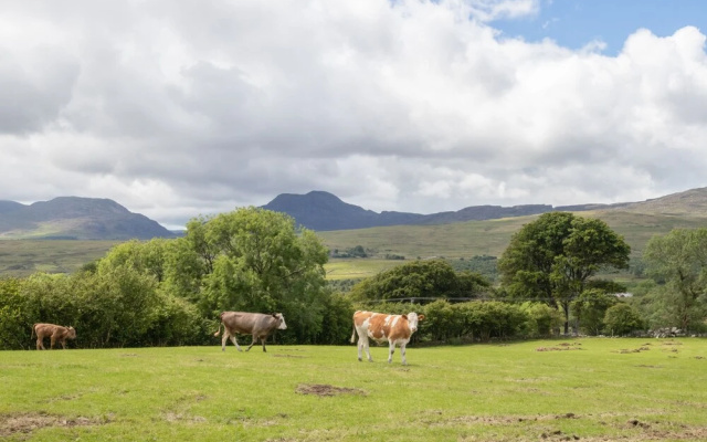 Hendre Cottage