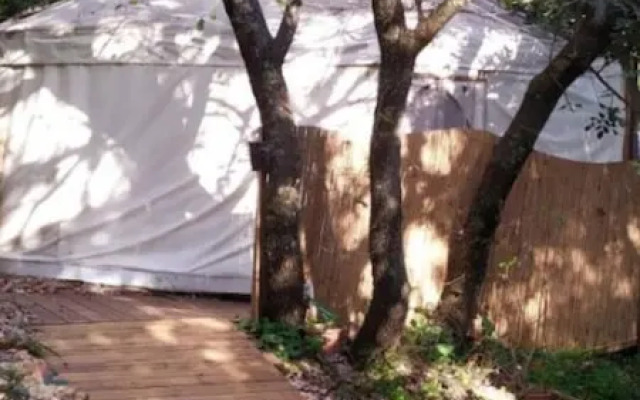 Yurt Located in a Little oak Grove