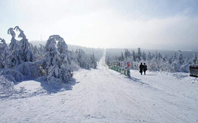 SCANDIC Apartments Plešivec