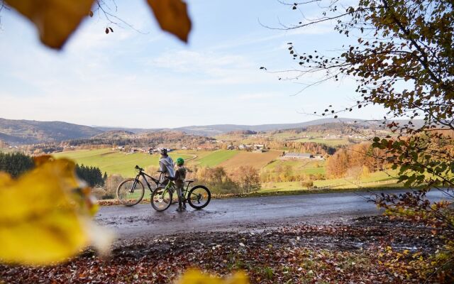 Ferienwohnungen Wald und Wiese