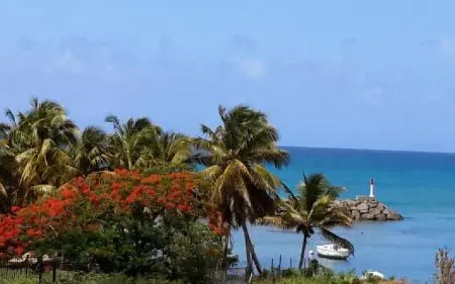 Palm Beach