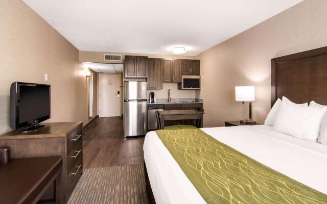 Comfort Inn & Suites Red Deer