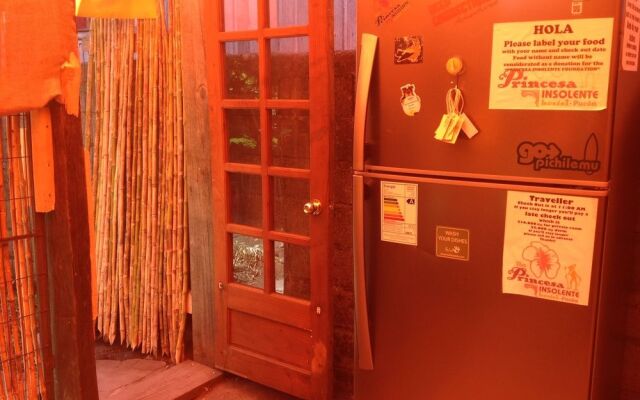 The Princesa Insolente Hostel - Pucon