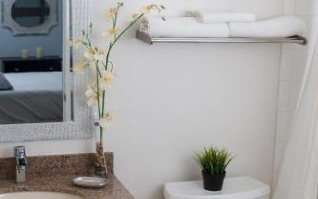 Beautiful Mountain Studio in The Blue Mountains