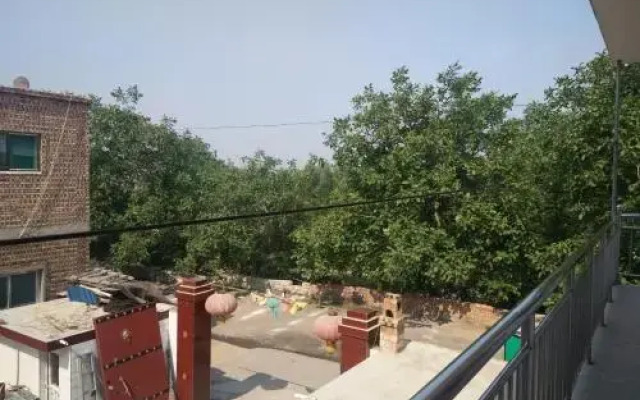 Mianshan Chengxin Farm Stay