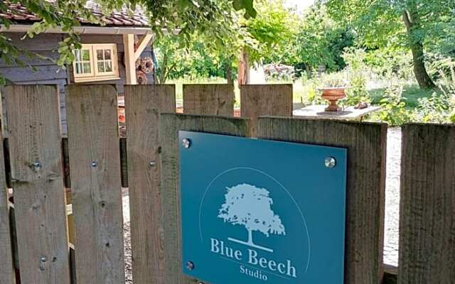 Studio Blue Beech