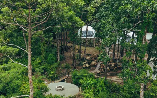 Matahom Forest Glamping Tent 2