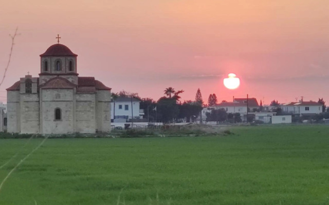 Palm garden paradise