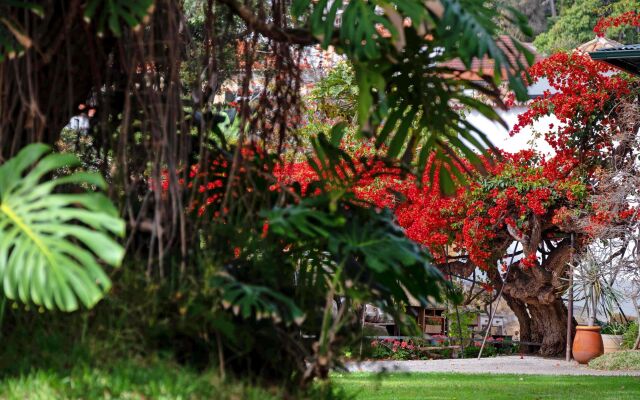 Charming Restored Stone Cottage In Funchal Centre   Loja Da Lenha