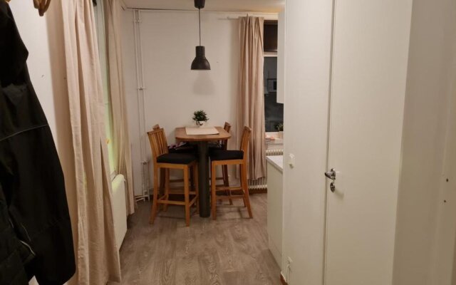 Mysig lägenhet med ett rum och kök 1103