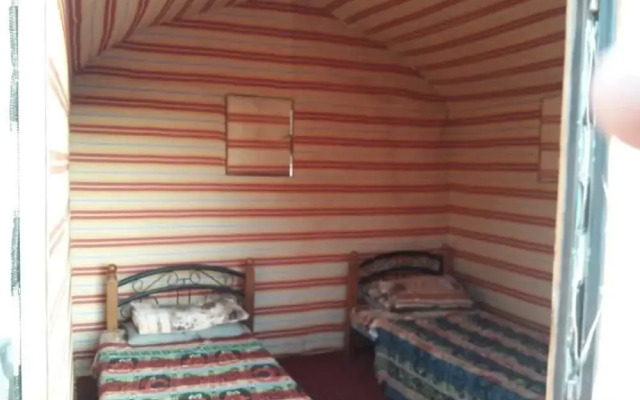 Wildlife Camp