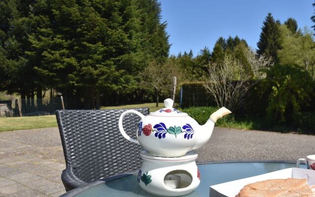 Spacious Holiday Home With Sauna in Celles-sur-plaine