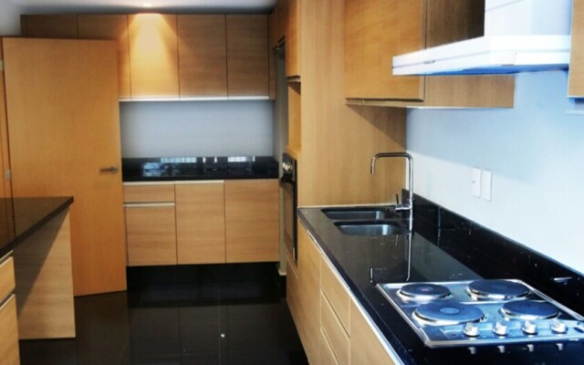 Polanco T40