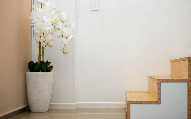 Urban Oasis Apartments at the City Center