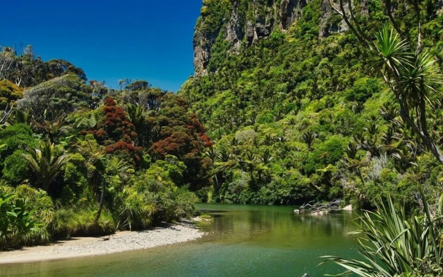 Punakaiki Beach Camp