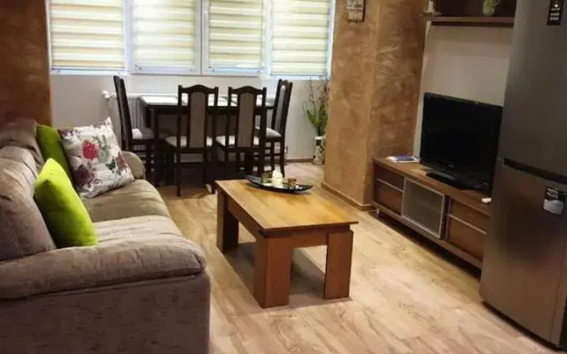 Luxury 2 bedroom,2 bathroom apart ,free parking