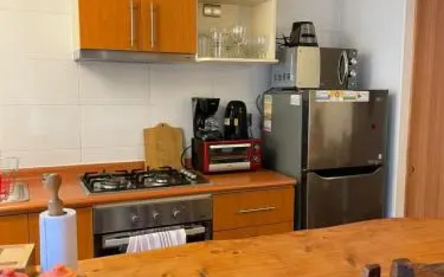 Parque el Volcan Villarrica Departamentos Alejandra