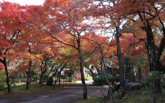 Cultural Property of Japan Senzairo