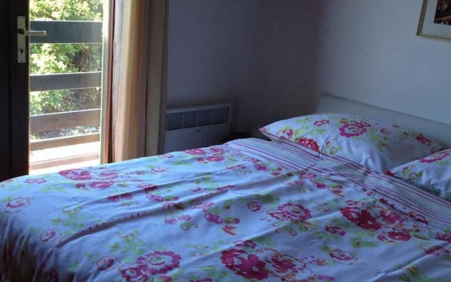 Apartment Iva