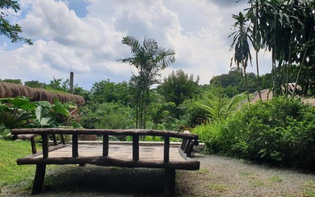 Maka-Kalinaw 5 Wabi sabi Room, Forest Deck View