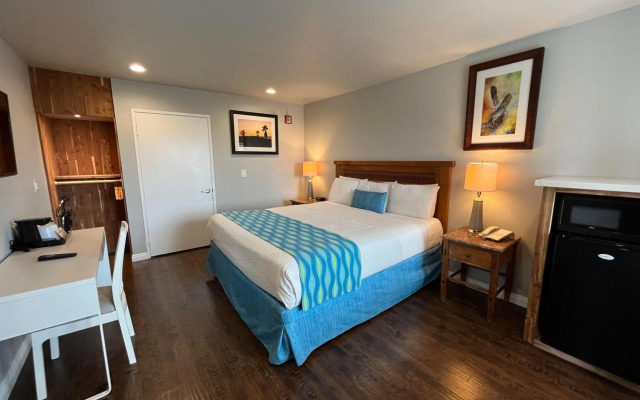 Alamo Inn & Suites