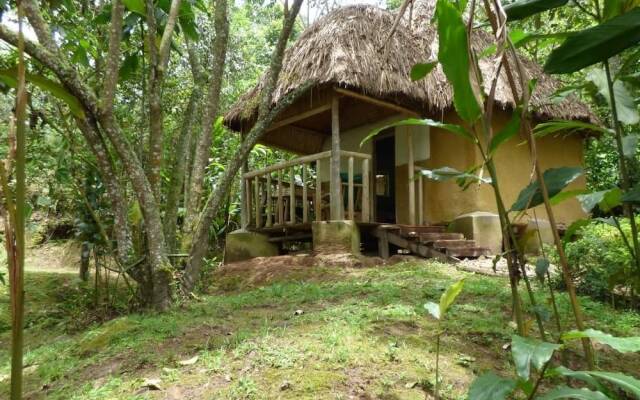 Nshongi Forest Camp