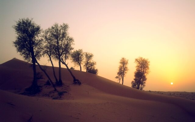 Bedouin Oasis Camp