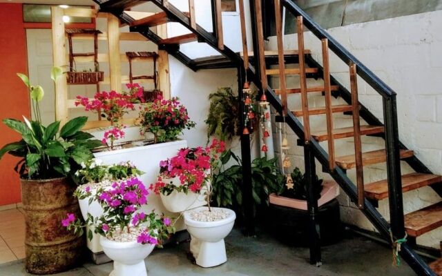Hostel Trotamundos