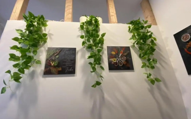 Schulz Apartments Zentrum