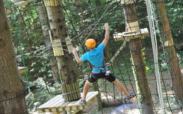 Agriturismo Fattoria Carpineta