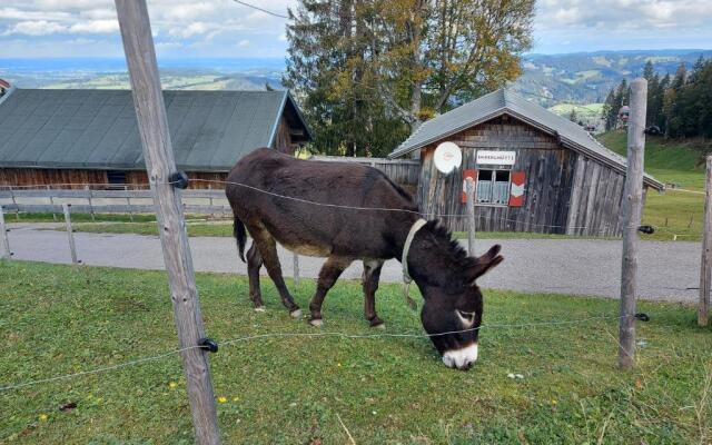 Imberg-Suite in Steibis