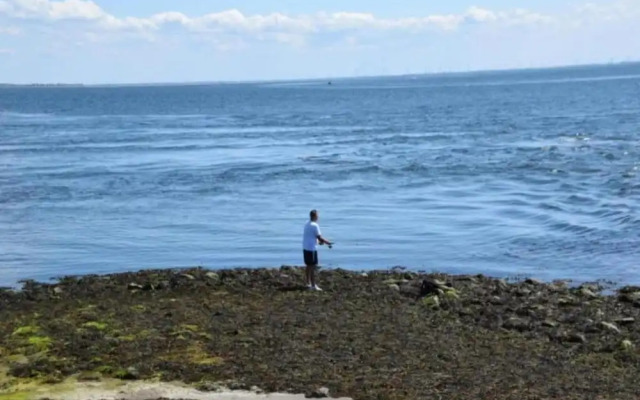 Villa Oesterdam Comfort 4 Persons