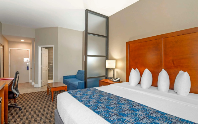 Best Western Plus Greenville I-385 Inn & Suites