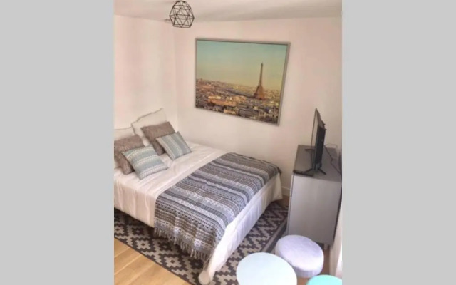 French typical apartment (opéra 5D)