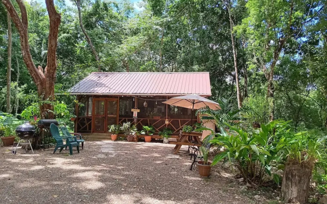 The Cabins at Monkey Fall