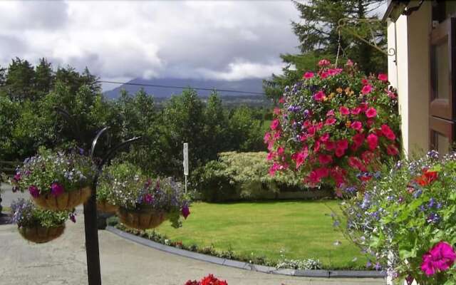 Hilton Heights B&B